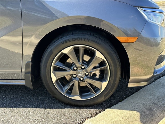 2024 Honda Odyssey Elite
