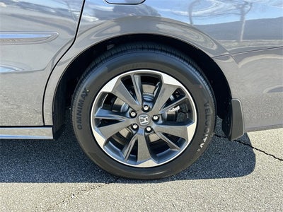 2024 Honda Odyssey Elite