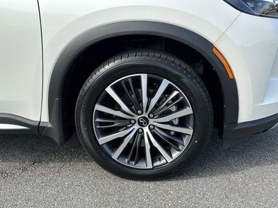 2024 INFINITI QX60 Autograph